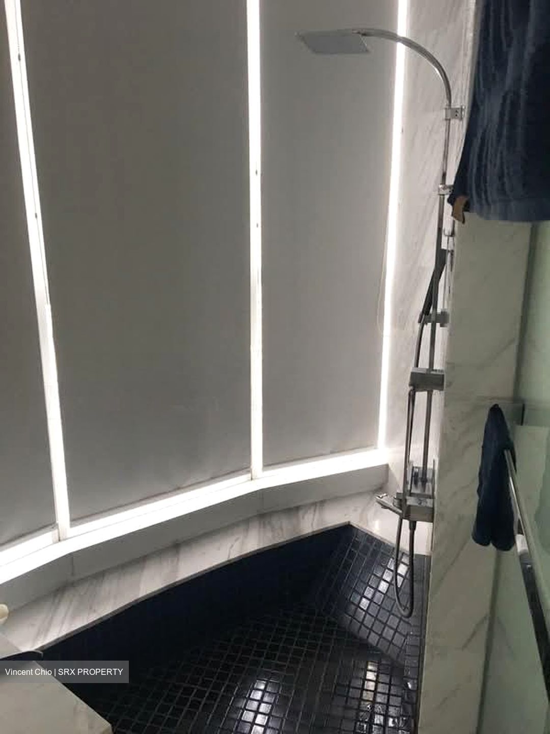 Newton One (D11), Condominium #564163811